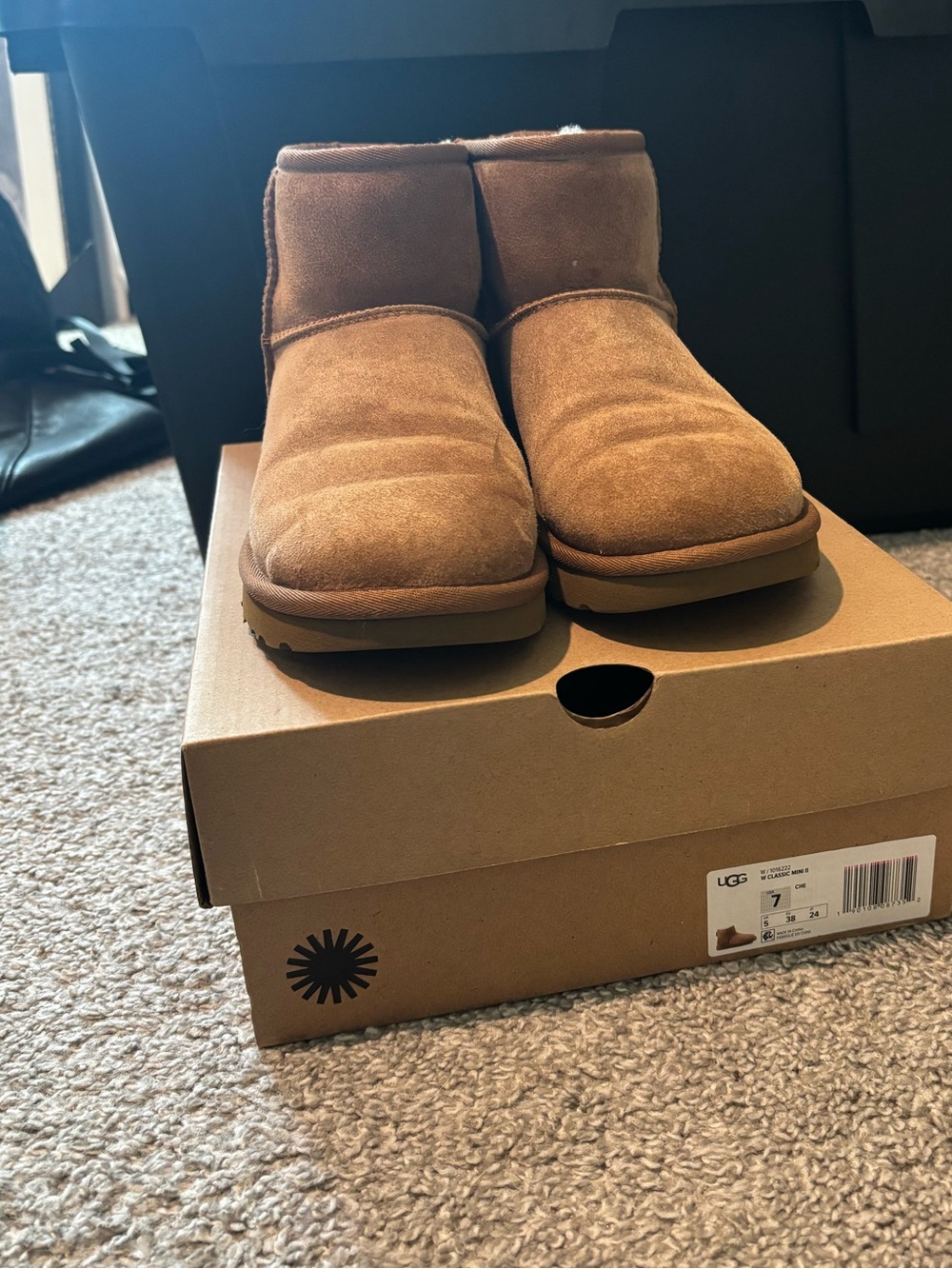 UGG Woman’s Classic Mini in chestnut